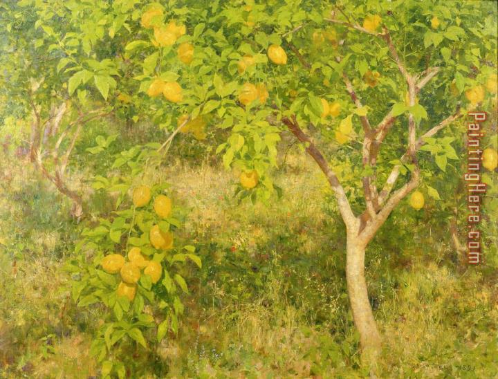 Henry Scott Tuke The Lemon Tree